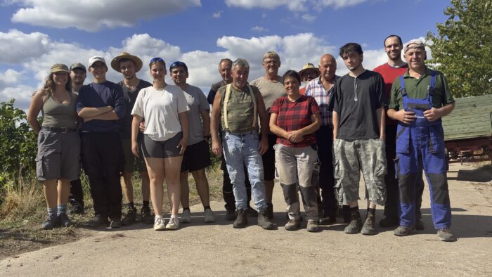 Das Team des Zehntkellers bei der Weinlese 2026 im Weinberg