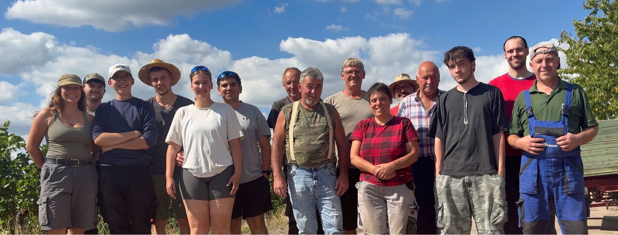 Das Team des Zehntkellers bei der Weinlese 2026 im Weinberg